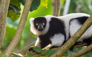 Openstaande vacatures