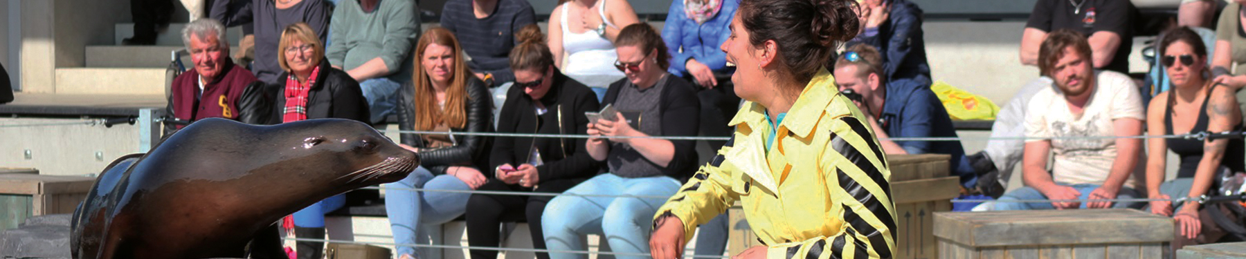 Werken bij Wildlands