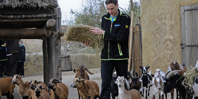 Waarom werken bij WILDLANDS?